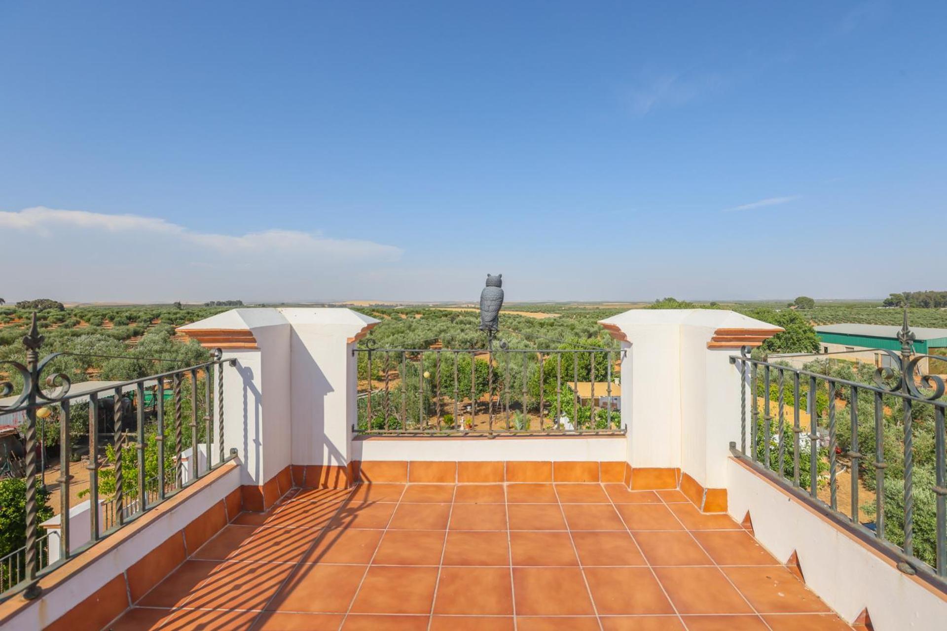 Casa Rural Los Miradores Marchena  Ngoại thất bức ảnh