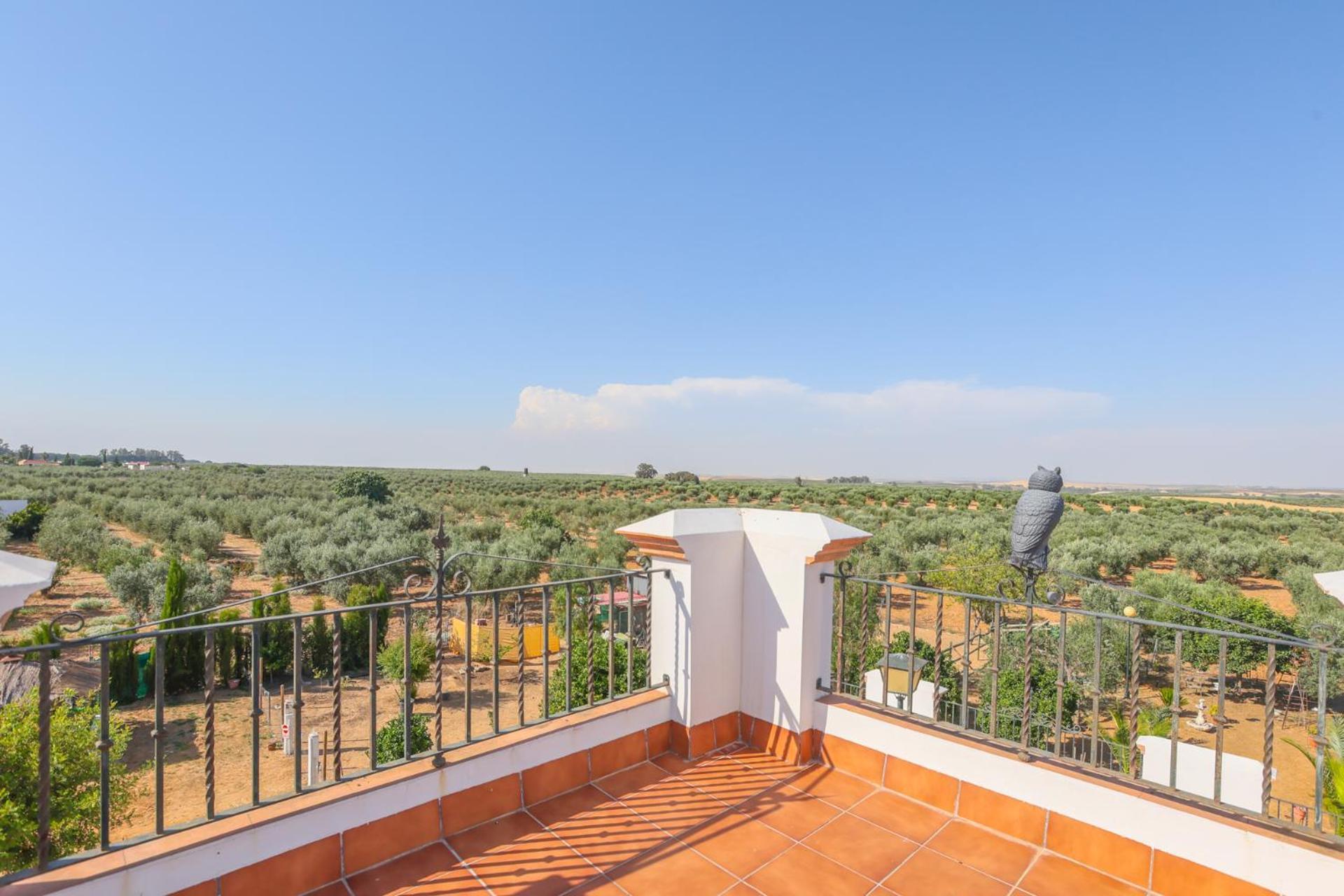 Casa Rural Los Miradores Marchena  Ngoại thất bức ảnh